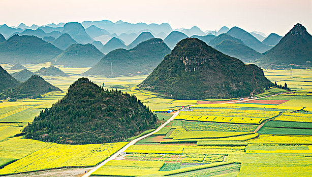 tổng đài soi cầu lô đề