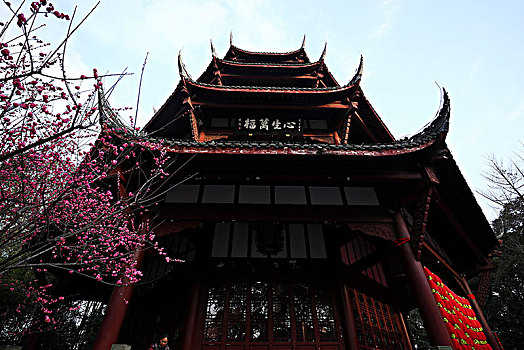 soi cầu lô
