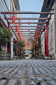 dự đoán bạch thủ
