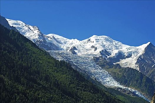 cau lo 888
