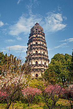 soi cầu cường đại phát