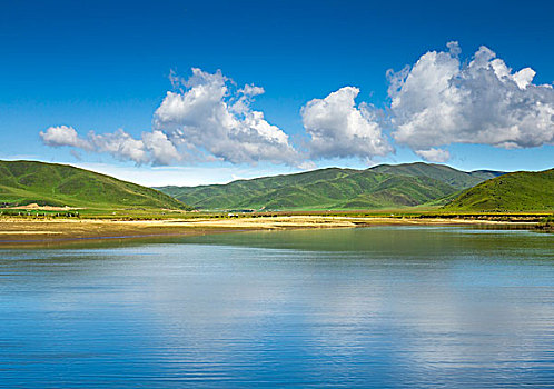 lo kep bach thu khung 3 ngay