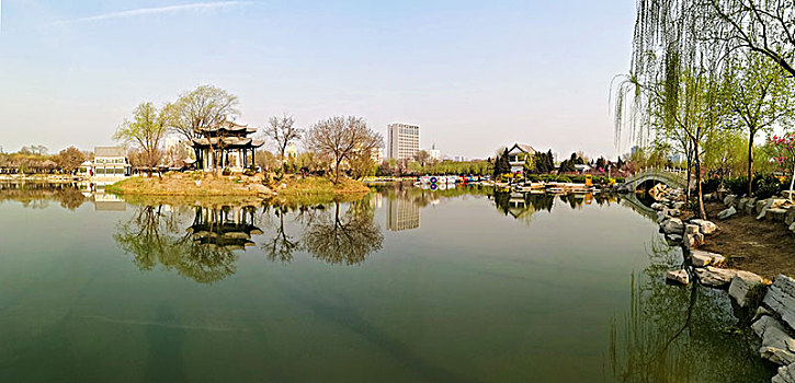 xs bình định