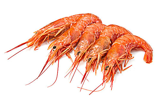 xổ số khánh hòa 30 ngày
