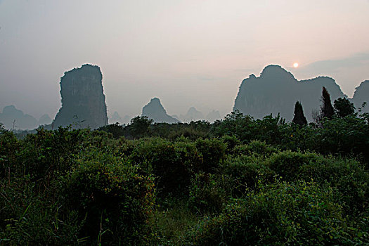 soi cau scv