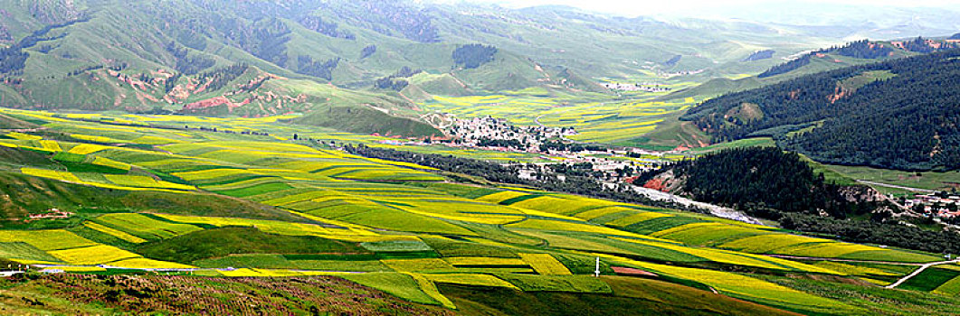 bạch thủ 666