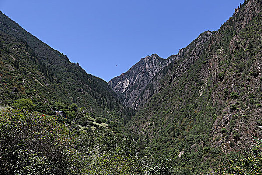 số cần thơ