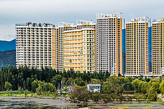 soi cau rong bach kim mien phi