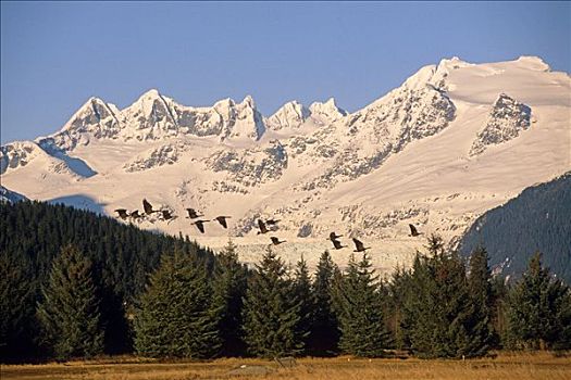 soi cau du doan xsmb win2888