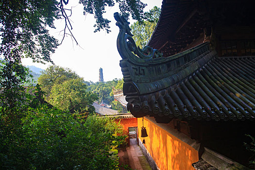 dự đoán kết quả