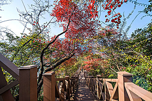 soi cầu bạch thủ 777