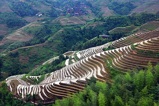 soi bạch thủ đề hôm nay