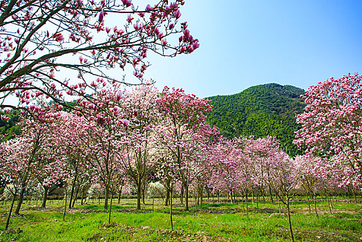 du doan xsmb hom nay minh ngoc