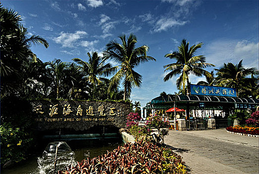 soi cầu bạch kim miền bắc