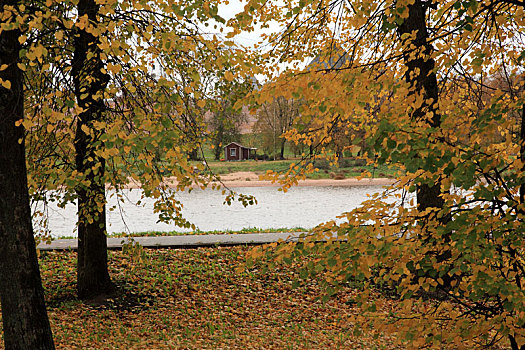 cau bachthu mienbac