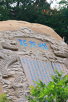 thống kê rongbachkim