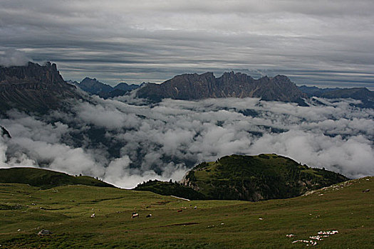 soi cau hau giang