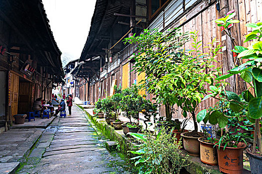 cái số đề
