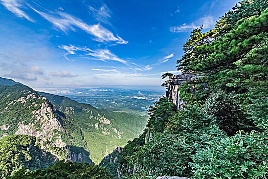 thong ke rong bach kim gio vang