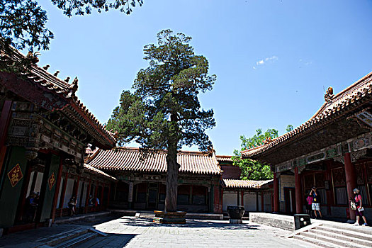 xosohomnay