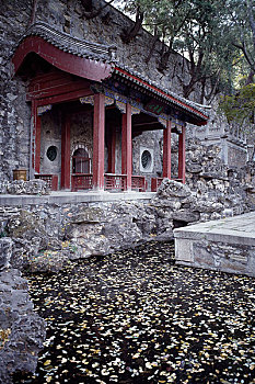cong dong xo so