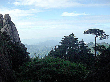 số cà mau