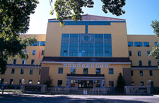 phim thẻ bài casino