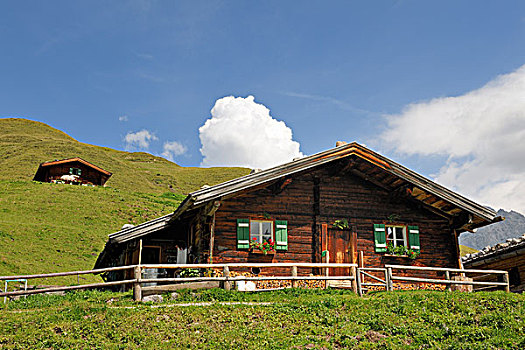 soi câu 336