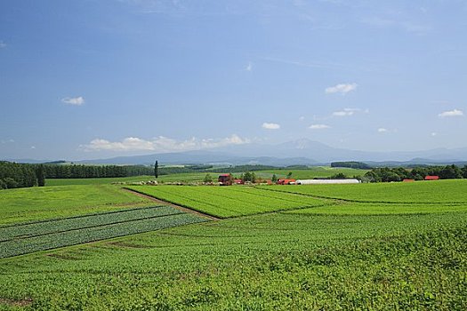 xổ số kiến thiết vũng tàu
