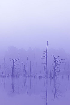 xô so mien nam