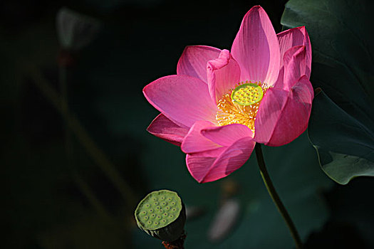 soi cầu online 888