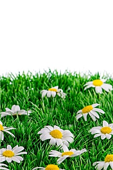 xổ số miền bắc hôm