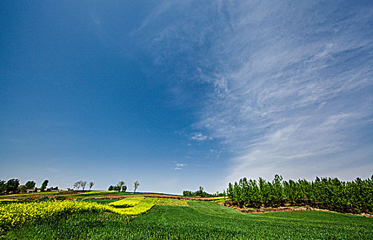 miền bắc thứ hai
