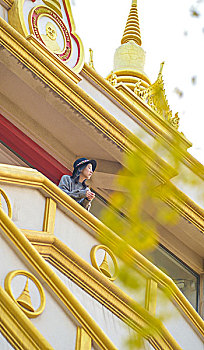 soi cau theo tuan