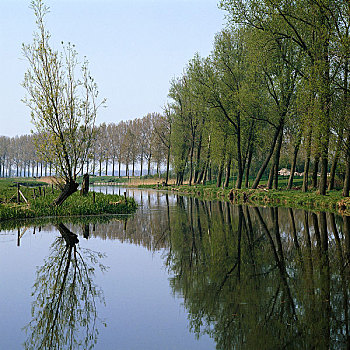 soi cau rong bach kim mien phi chinh xac
