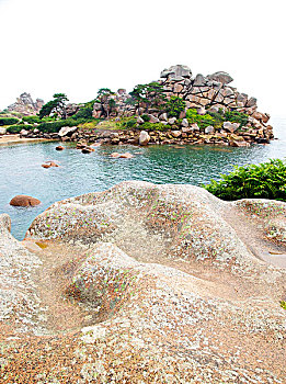 xs nam dinh
