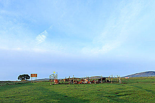 xsmb thu hai