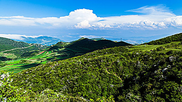 bạch thủ khung 3 ngày miễn phí