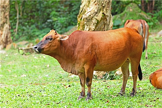 xổ số ngày