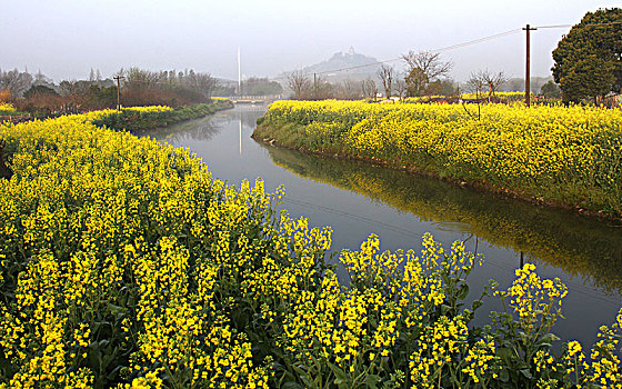 soi cầu 29