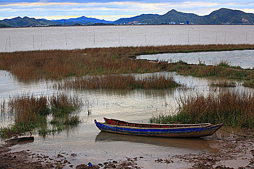 cau soi xs 3 mien