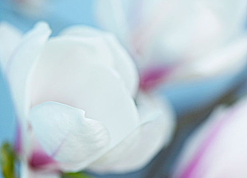 phân tích lô đề hôm nay