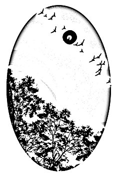 soi cau rong bach kim 888