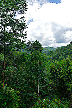 xổ số thành phố