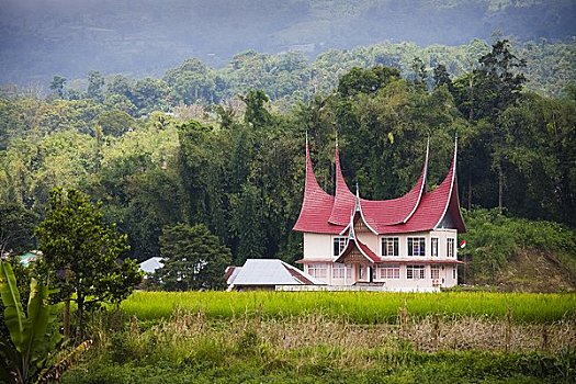 soi cau 38 wap sh
