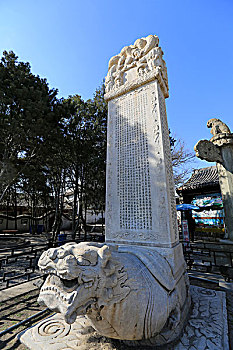 xs hậu giang
