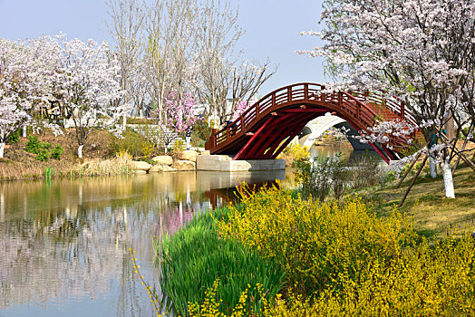 xem rong bach kim