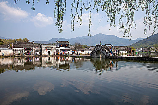 soi cau 2 nhay rong bach kim