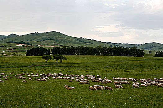 du doan lo