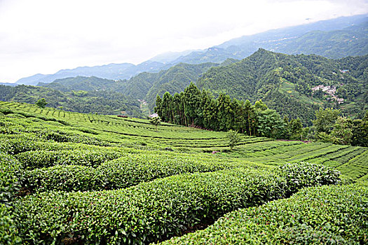 dự đoán lô tô hôm nay